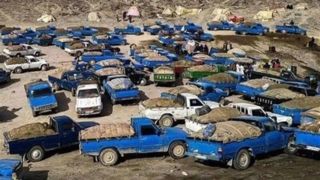 قاچاق سوخت مهمترین عامل ناترازی بنزین است قاچاق سوخت مهمترین عامل ناترازی بنزین است