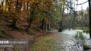 پاییزِ افسونگر مازندران