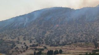 دستور ویژه برای اطفای حریق در چالوس