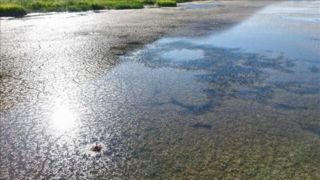 ایران ۱۰۰ برابر عربستان آب دارد/ با باران مشکل ما حل نمی‌شود