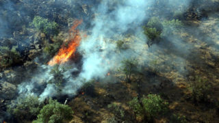  اطفای هوایی آتش‌سوزی جنگل الیت