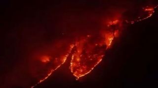 ادامه حریق در جنگل های هیرکانی پس از ۲۰ روز؛ پنج بالگرد و یک فروند هواپیمای ایلیوشین به منطقه اعزام شد