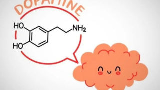 ۱۰ روش‌ برای آزادشدن دوپامین در مغز و احساس لذت بیشتر