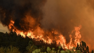 پای زمینخواران به آتشسوزی الیت باز شد پای زمینخواران به آتشسوزی الیت باز شد