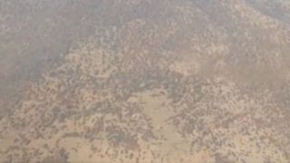 نمای هوایی از آتش‌سوزی الیت