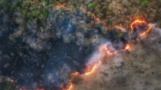 جنگلهای هیرکانی در محاصره آتش بیتدبیری/ چرا آتشسوزی الیت بحرانی شد؟ جنگلهای هیرکانی در محاصره آتش بیتدبیری/ چرا آتشسوزی الیت بحرانی شد؟