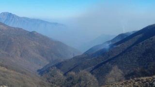 تلاشها برای مهار آتشسوزی جنگلهای نمنق جلفا ادامه دارد تلاشها برای مهار آتشسوزی جنگلهای نمنق جلفا ادامه دارد