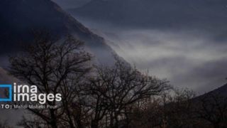 مهار آتش‌ در جنگل الیت