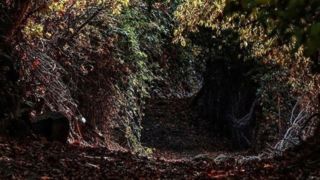 طبیعت پاییزی قره داغ