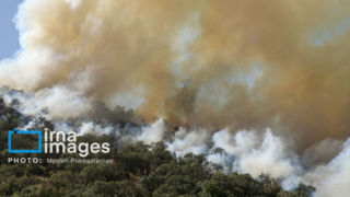 شمارش معکوس هیرکانی؛ همهچیز به باران پنجشنبه بستگی دارد شمارش معکوس هیرکانی؛ همهچیز به باران پنجشنبه بستگی دارد