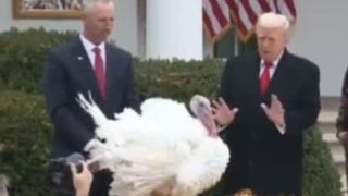 ترامپ صدای بوقلمون را تقلید کرد! ترامپ صدای بوقلمون را تقلید کرد!