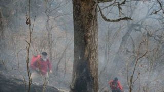 مهار ۹۵ درصدی آتش سوزی جنگلهای الیت/ چرا برای مهار آتش دیر بالگرد اعزام شد؟ مهار ۹۵ درصدی آتش سوزی جنگلهای الیت/ چرا برای مهار آتش دیر بالگرد اعزام شد؟