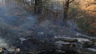 آتش سوزی در جنگل‌های گلستان