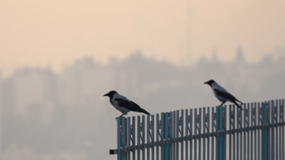 احتمال تعطیلی شنبه و یکشنبه تهران به دلیل آلودگی هوا