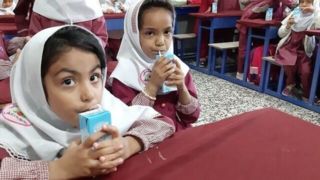 آخرین وضعیت اجرای برنامه شیر مدارس