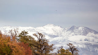 بارش برف در مازندران
