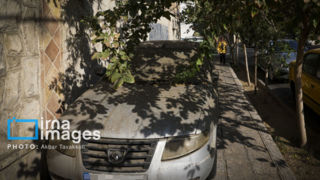 تهران؛ شهر رانندگان متخلف یا مجبور؟