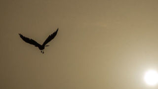 هوای ۲۴ ایستگاه تهران در شرایط «ناسالم برای همه» هوای ۲۴ ایستگاه تهران در شرایط «ناسالم برای همه»