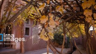 پاییز بی‌عابر ابیانه