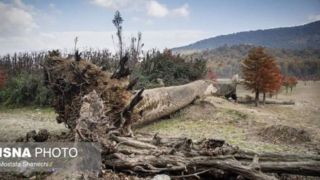 دریاچه الندان در معرض خطر خشکی