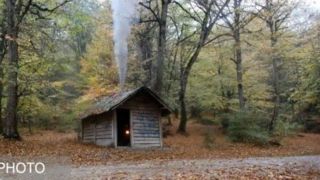 بازگشت باران به سوادکوه بازگشت باران به سوادکوه