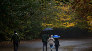 ورود سامانه بارشی به کشور طی فردا ورود سامانه بارشی به کشور طی فردا