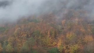 طبیعت آستارا در قاب پاییز طبیعت آستارا در قاب پاییز