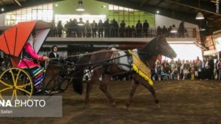 جشنواره زیبایی اسب کاسپین در انزلی