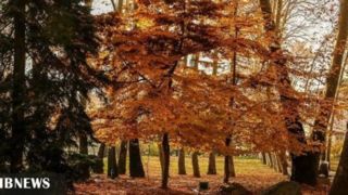 ردای پاییزی بر تن کاخ سعدآباد