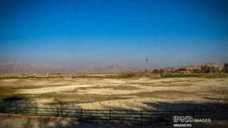 مرگ نیلوفرِ کرمانشاه مرگ نیلوفرِ کرمانشاه