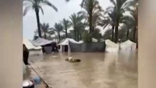 این روزهای غزه این روزهای غزه