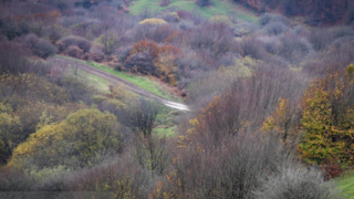 پاییز در جنگل فندقلو نمین