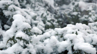 ایران سردتر می‌شود