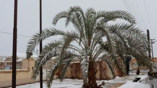 بارش برف و باران در برخی استان‌ها