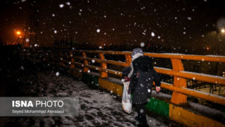 گرمخانه سبز مشهد