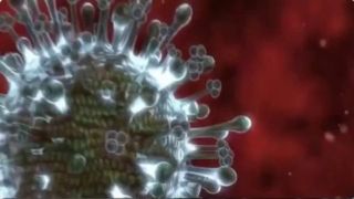 اگر علائم آنفلوآنزا را دارید یلدای عزیزانتان را خراب نکنید!