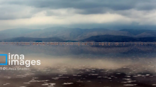 تولد دوباره دریاچه مهارلو؛ بازگشت فلامینگوها با بارش‌های پاییزی