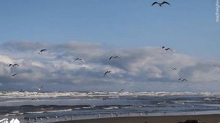 حال و هوای خزر در فصل سرما