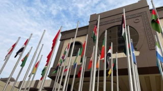 ۲۲ کشور و سازمان همکاری اسلامی به رسمیت شناختن سومالی لند توسط اسرائیل را محکوم کردند