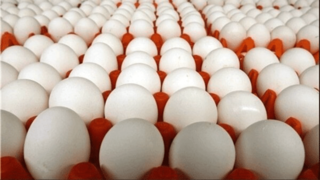 عقب نشینی بازار از قیمت‌های بالا