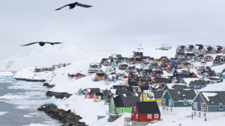 نماینده ترامپ: دانمارک، گرینلند را اشغال کرده است