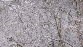 برف و باران برای امروز و فردا/ کاهش تا ۱۰ درجهای دما در بعضی مناطق برف و باران برای امروز و فردا/ کاهش تا ۱۰ درجهای دما در بعضی مناطق