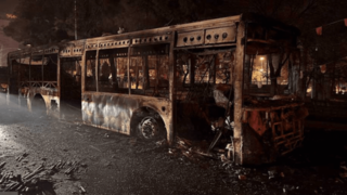 همه سوار یک اتوبوس!