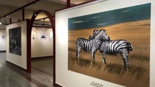 دوسالانه کاریکاتور تهران برگزیدگانش را شناخت