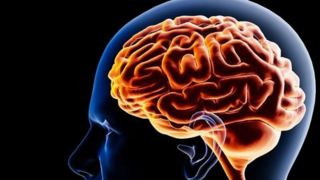 ۹ حقیقت شگفت‌انگیز درباره مغز انسان+اصلاح باورهای غلط