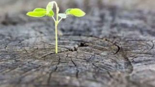 امید به آینده 