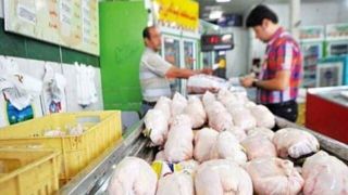 قیمت تمامشده مرغ و محصولات طیور اعلام شد قیمت تمامشده مرغ و محصولات طیور اعلام شد