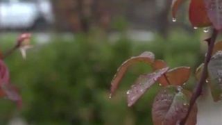 بارندگی تهران ۲۰۰ میلی متر کمتر از شرایط ایده‌آل        