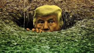 کسی او را گردن نمی گیرد! 