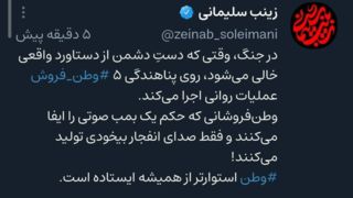 زینب سلیمانی: پناهندگی وطن‌فروشان عملیات روانی است؛ مثل یک بمب صوتی